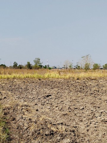 ขายด่วน ที่ดินทำเลทอง 4 – 1 – 43 ไร่ โคกสูง เมืองนครราชสีมา