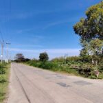 ขายด่วน ที่ดินสวนผัก 4-0-38 ไร่ ใจกลางเมืองนครราชสีมา