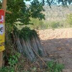 ขายที่ดิน ราคาถูก 64-3-50 ไร่ บ้านน้อย วัดโบสถ์ จ.พิษณุโลก