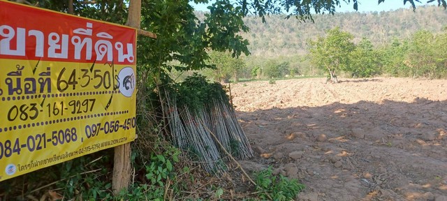 ขายที่ดิน ราคาถูก 64-3-50 ไร่ บ้านน้อย วัดโบสถ์ จ.พิษณุโลก