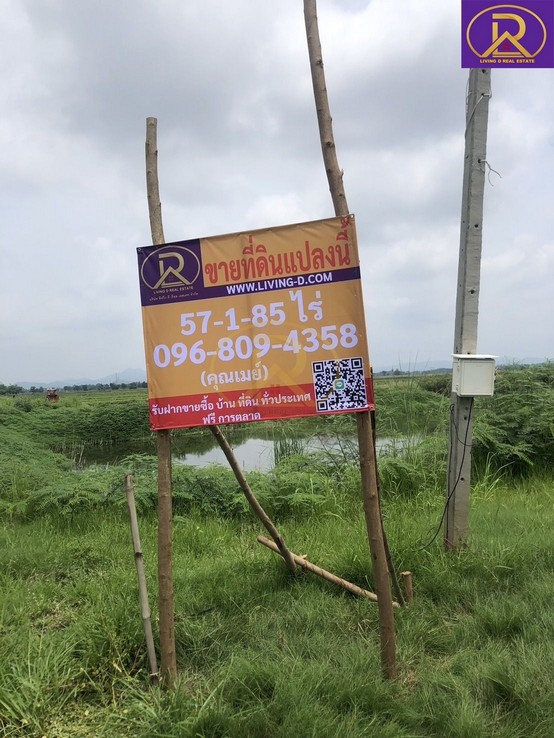 ขายที่ดิน แปลงสวย 57-1-85 ไร่ บึงสามพัน จ.เพชรบูรณ์