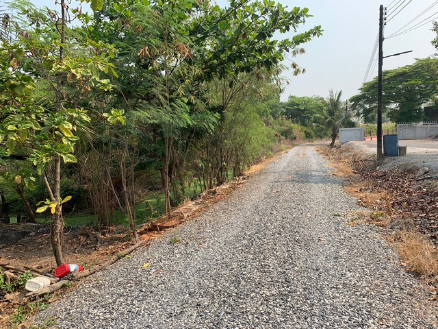 ขายที่ดินติดคลองสองพี่น้อง 12ไร่ ใกล้ถนนจักรพรรดิ ฉะเชิงเทรา