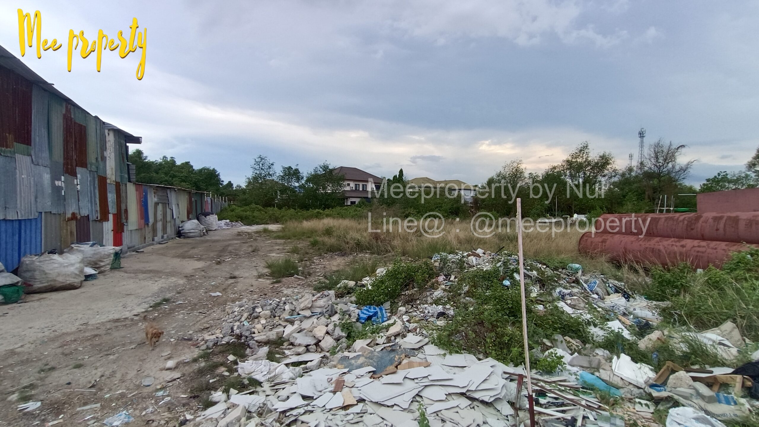 ปล่อยเช่าที่ดินเปล่า หน้าหมู่บ้านพฤกษาวิลเลจ7 1 ไร่ 1 งาน 48 ตร.