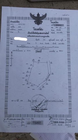ขายที่นา อ.ปักธงชัย จ.นครราชสีมา เนื้อที่ 7 ไร่ 2งาน 91 ตารางวา