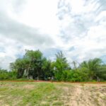 ที่ดินเปล่า 31 ไร่ บ้านบึง-พนัสนิคม-หนองอิรุณใกล้ 331 ทำเลอุตสาหก