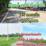 คลอง8 บึงชำอ้อ ปทุมธานี ฉโนดพร้อมโอน น้ำไฟพร้อม