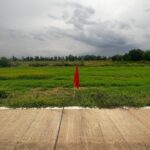 ที่ดินถมแล้ว เลียบคลองแอน 6-7 คลองหลวง ปทุมธานี ติดถนนคอนกรีต