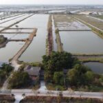 ขายที่ดิน ที่ดิน 114 ไร่ บางปะกง ฉะเชิงเทรา