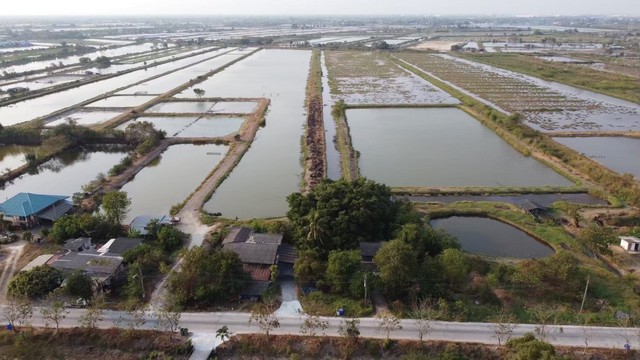 ขายที่ดิน ที่ดิน 114 ไร่ บางปะกง ฉะเชิงเทรา