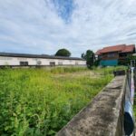 ขายที่ดิน ในหมู่บ้านบัวขาว ซ.รามคำแหง 174 เนื้อที่ 51 ตรว.