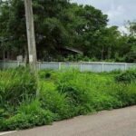 หางดง น้ำแพร่ ขายที่ดินเริ่มที่ 7,500 บาท/ตรว. 4 ไร่ ถมดินเรียบร้