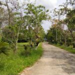 ขายที่ดินเปล่า เนื้อที่ 6-3-37.8 ไร่ อ.เมืองนครราชสีมา