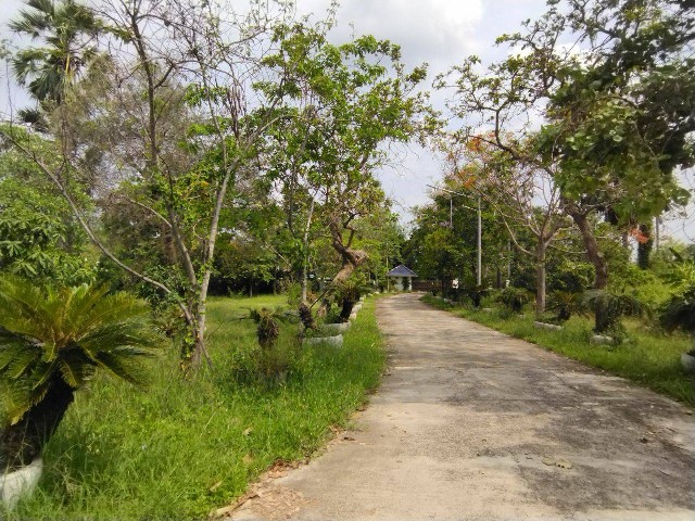 ขายที่ดินเปล่า เนื้อที่ 6-3-37.8 ไร่ อ.เมืองนครราชสีมา