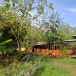 ขายที่ดิน เนื้อที่รวม 15-0-12.6 ไร่