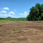 ที่ดินล้อมรั้วแล้ว ขุดบ่อ1ลูก ลึก3เมตร