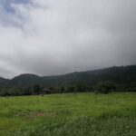 ให้เช่าที่ดินเปล่า 2ไร่ โครงการ Kirimaya เขาใหญ่