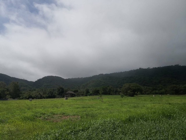 ให้เช่าที่ดินเปล่า 2ไร่ โครงการ Kirimaya เขาใหญ่