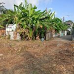 ขายที่ดินถมแล้ว 254 ตร.ว สุขุมวิท66/1 ใกล้ BTS อุดมสุข