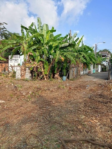 ขายที่ดินถมแล้ว 254 ตร.ว สุขุมวิท66/1 ใกล้ BTS อุดมสุข