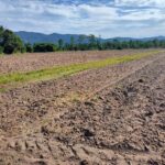 ขายที่ดินเปล่า อากาศดี วิวภูเขา อำเภอศรีราชา จังหวัดชลบุรี