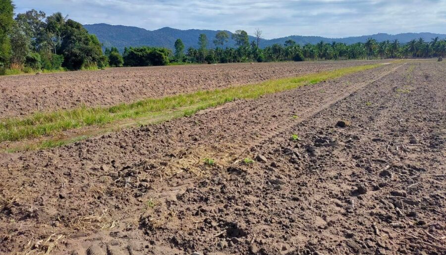 ขายที่ดินเปล่า อากาศดี วิวภูเขา อำเภอศรีราชา จังหวัดชลบุรี