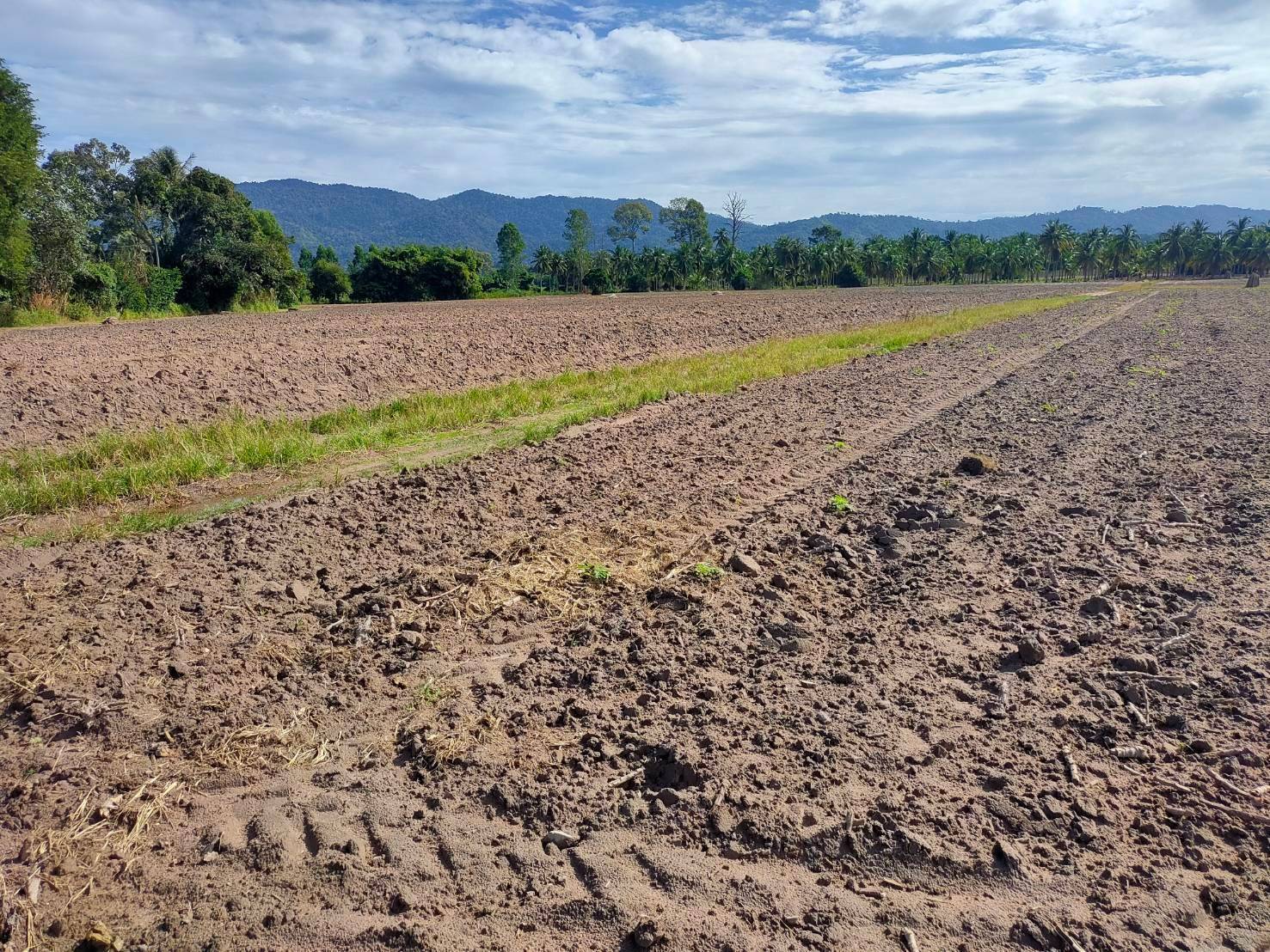 ขายที่ดินเปล่า อากาศดี วิวภูเขา อำเภอศรีราชา จังหวัดชลบุรี