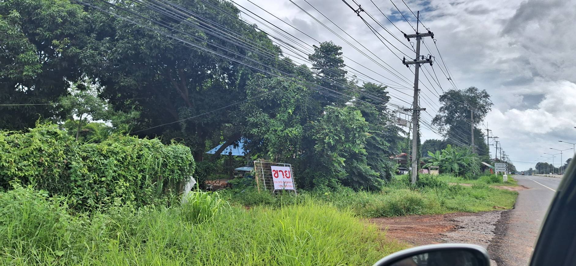 ขายที่ดินหัวมุม ทำเลทอง ติดถนน2ด้าน ด้านหน้าติดถนน4เลน อ.ป่าติ้ว