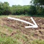 ขายด่วนที่ดินเปล่า ทำเลทอง อำเภอโชคชัย จังหวัดโคราช