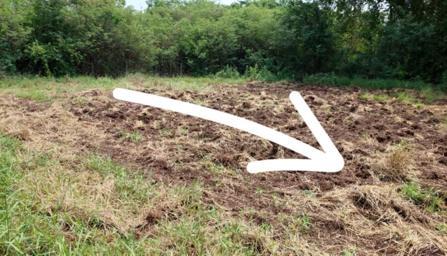 ขายด่วนที่ดินเปล่า ทำเลทอง อำเภอโชคชัย จังหวัดโคราช