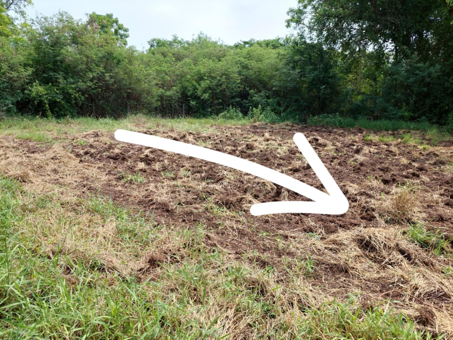 ขายด่วนที่ดินเปล่า ทำเลทอง อำเภอโชคชัย จังหวัดโคราช