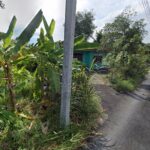 ขายที่ดิน บ้านไม้ 201 ถูกกว่าประเมินกรมธนารักษ์ MRTบางชัน 1.6 กม.