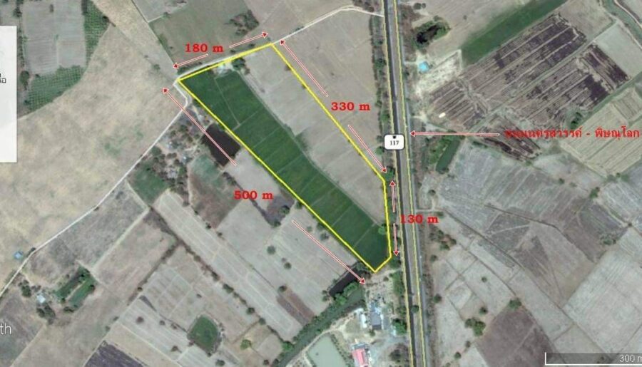 ขายที่ดินเปล่าทำเลทอง ติดถนนทางหลวง ต. บึงนาราง อ.บึงนาราง จ.พิ