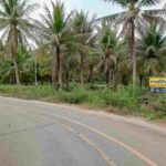 ขายที่ดินทำเลทอง ตำบลท่าคา อ.อัมพวา จ.สมุทรสงคราม