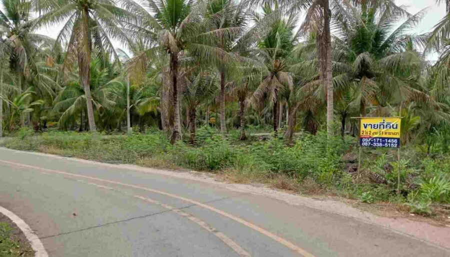 ขายที่ดินทำเลทอง ตำบลท่าคา อ.อัมพวา จ.สมุทรสงคราม