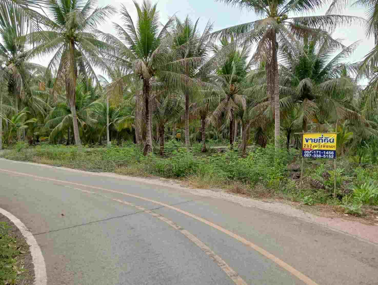 ขายที่ดินทำเลทอง ตำบลท่าคา อ.อัมพวา จ.สมุทรสงคราม