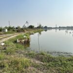 ขายที่ดินแปลงใหญ่ ทำเลทอง ใกล้ ABAC บางนา