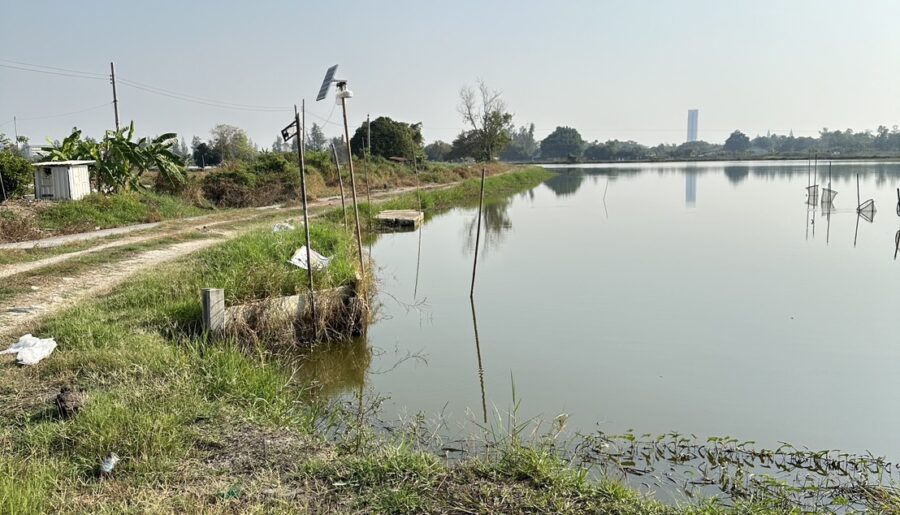 ขายที่ดินแปลงใหญ่ ทำเลทอง ใกล้ ABAC บางนา