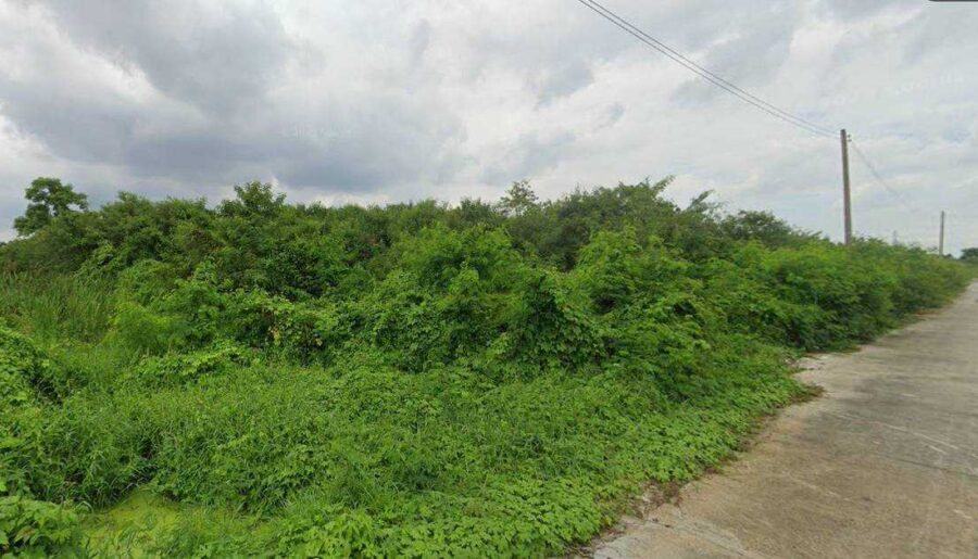 ขายที่ดินเปล่า ถ.รังสิต นครนายก ต.ลำผักกูด อ.ธัญบุรี จ.ปทุมธานี