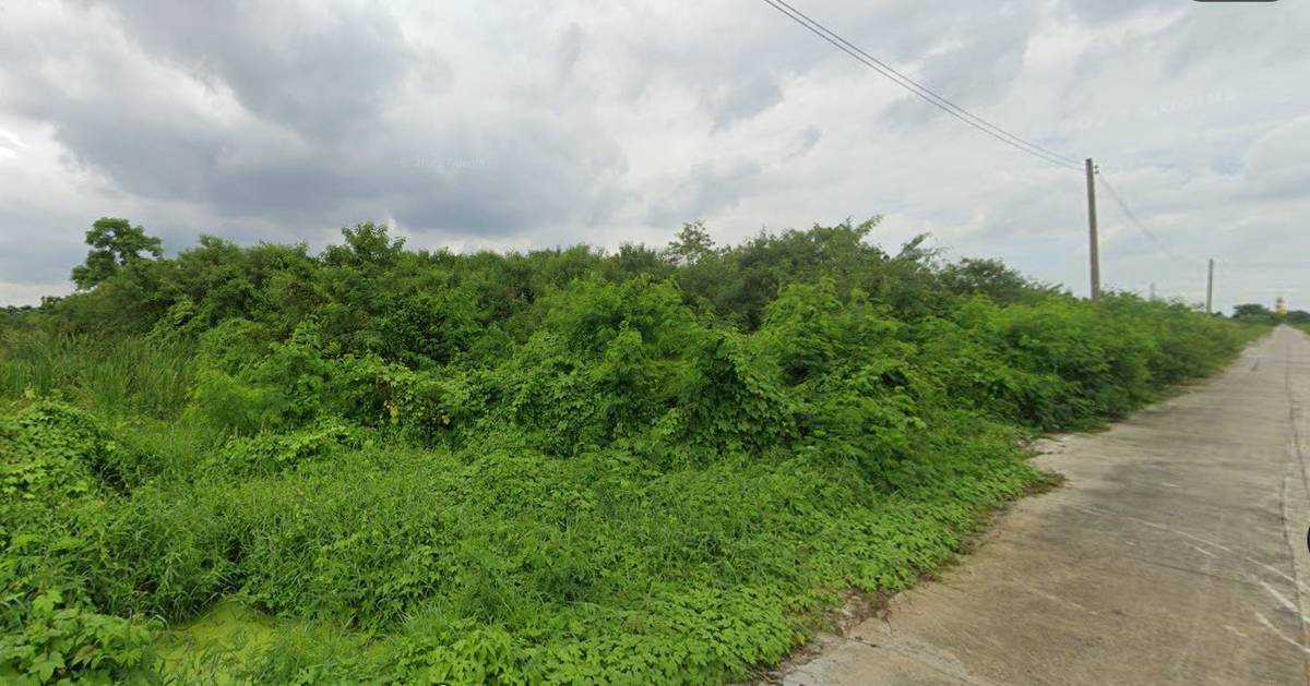 ขายที่ดินเปล่า ถ.รังสิต นครนายก ต.ลำผักกูด อ.ธัญบุรี จ.ปทุมธานี