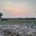 ขายที่ดินเปล่า ทำเลทอง อำเภอศรีราชา จังหวัดชลบุรี