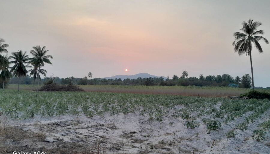 ขายที่ดินเปล่า ทำเลทอง อำเภอศรีราชา จังหวัดชลบุรี