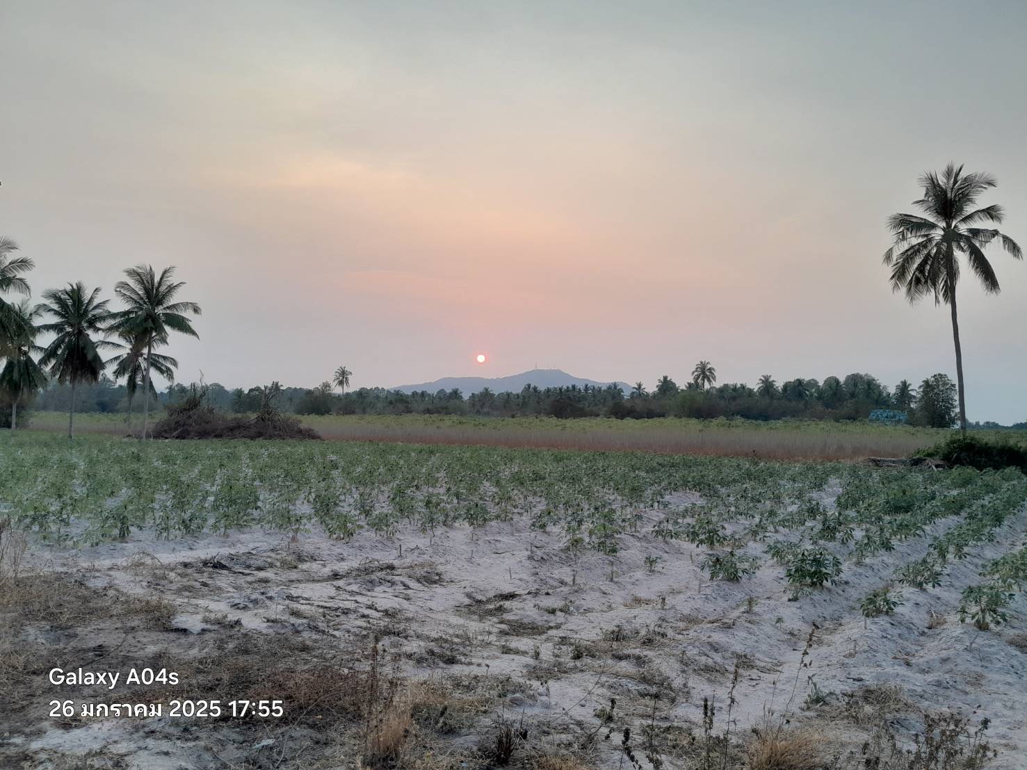 ขายที่ดินเปล่า ทำเลทอง อำเภอศรีราชา จังหวัดชลบุรี