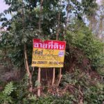 ขายที่ดินเปล่า 99.9 วา 2 แปลงติดกัน ใกล้ท็อปแลนด์คอนกรีต เมือ