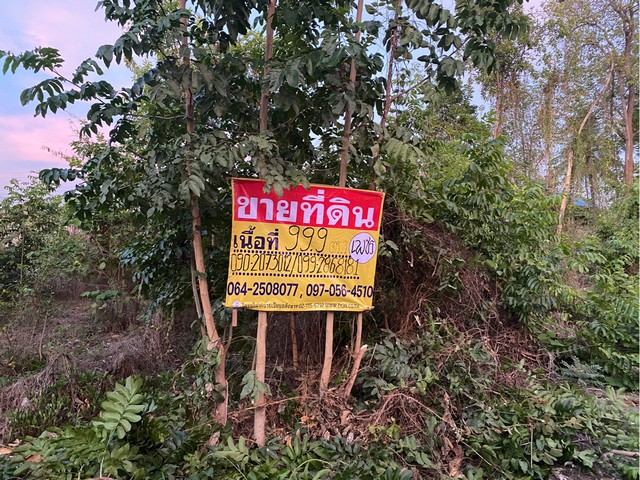 ขายที่ดินเปล่า 99.9 วา 2 แปลงติดกัน ใกล้ท็อปแลนด์คอนกรีต เมือ