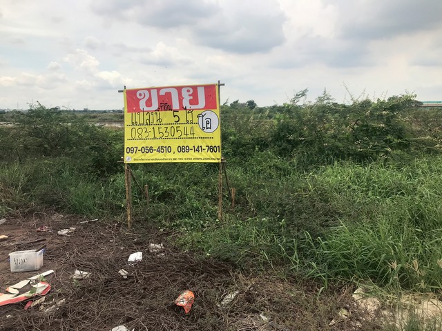 ขายที่ดิน 5ไร่ ติดถนนเส้นคุ้งลานไป ใกล้สายเอเชียขาเข้ากรุงเทพ
