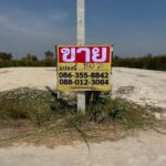 ขายที่ดินเปล่า 100 ตารางวา ซอยมาบโป่ง14 โป่งตามุข พานทอง ชลบุร