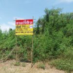 ขายที่ดิน 342 ตารางวา ซอยหนองปิงร่วมใจ7 เมืองนครสวรรค์