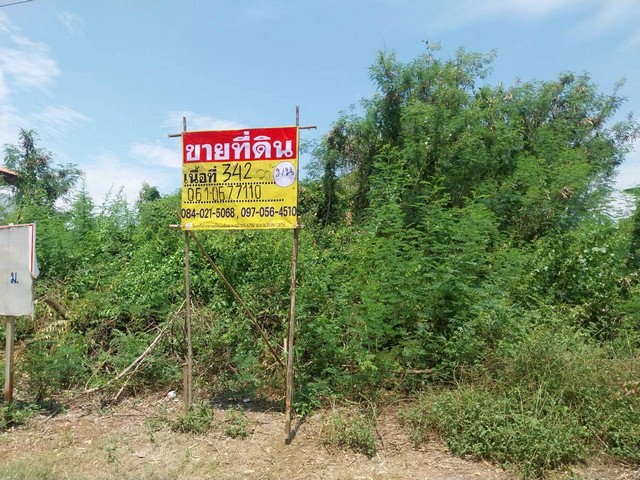 ขายที่ดิน 342 ตารางวา ซอยหนองปิงร่วมใจ7 เมืองนครสวรรค์
