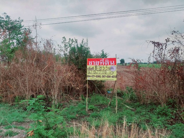 ขายที่ดิน 8 ไร่ ทำเลดี ราคาถูก พระนอน เมืองนครสวรรค์