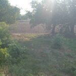 ขายที่ดินราคาถูก 35-2-45 ไร่ บ้านคลองช้าง พรหมพิราม พิษณุโลก